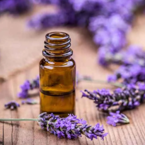 Lavender Oil