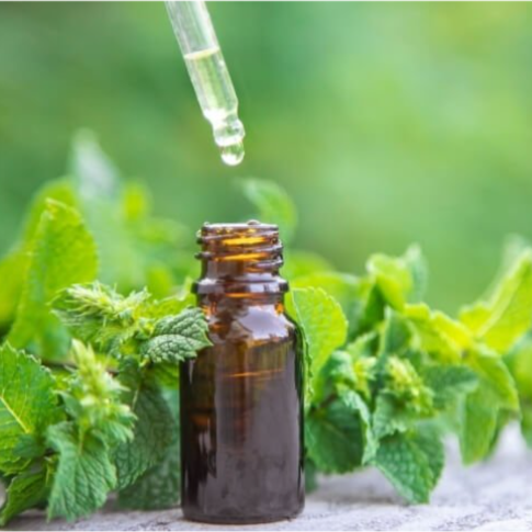 Peppermint Oil